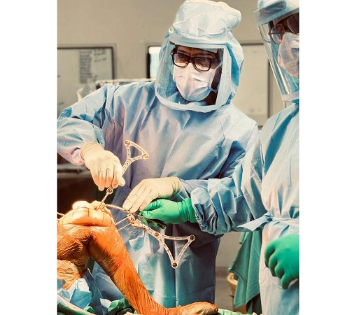 The Precision Revolution; Robotic Joint replacement an Article by Dr Dibya Singha