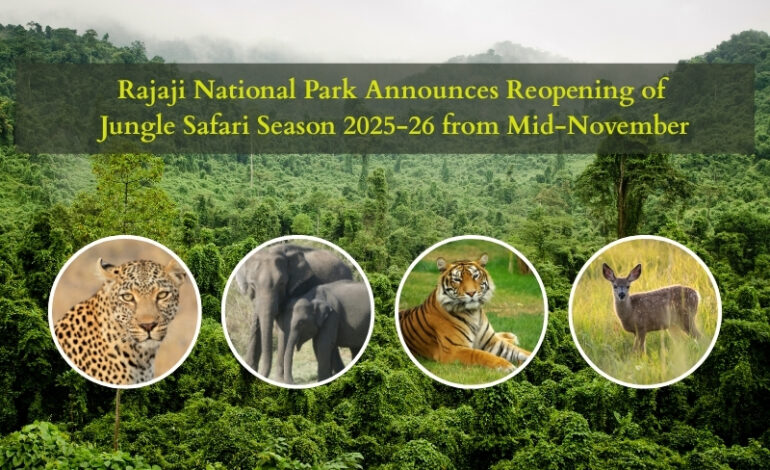 Rajaji National Park Announces Reopening of Jungle Safari Season from Mid-November